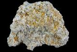 Plate Of Gemmy, Chisel Tipped Barite Crystals - Mexico #84431-2